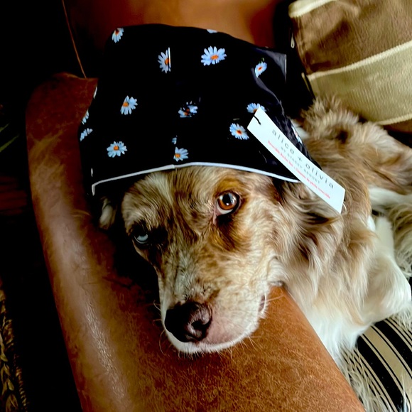 Alice + Olivia Accessories - alice + olivia Bucket hat